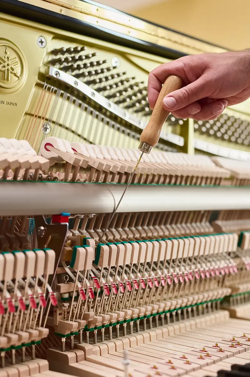 Piano's Verhulst